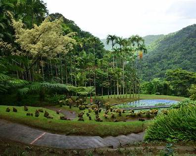 Jardin de Balata, Martinique